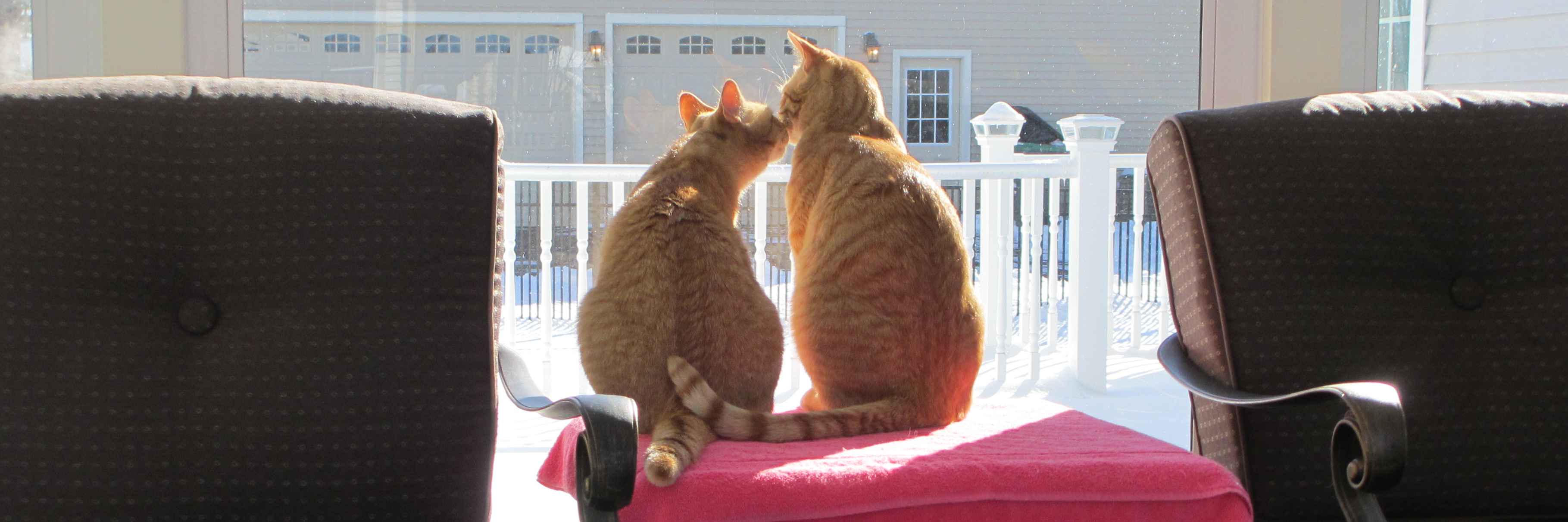 Maximillian and Midas